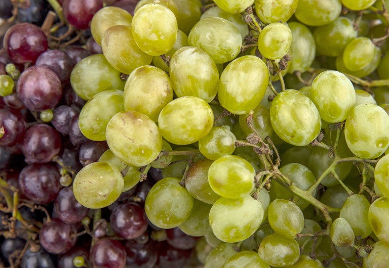 Aumenta el costo de las uvas por temporada de Año Nuevo 