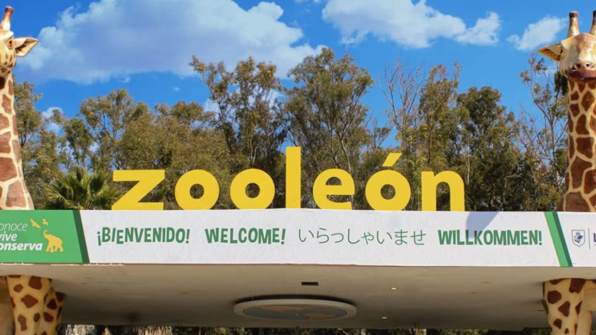 Por fallas de seguridad, clausuran temporalmente zoológico en Guanajuato 