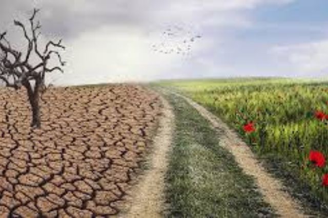 Fenómenos extremos marcan 2025: expertos alertan sobre crisis climática