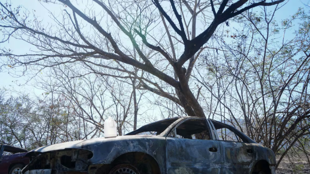 Coche bomba, reetiquetado: manual de autoprotectores del gobierno
