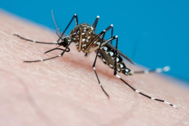 En Izúcar fumigan con drones para atacar el dengue 