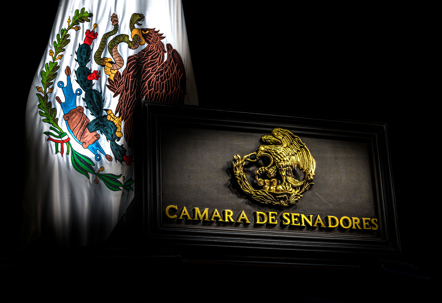 Integra Senado lista de 10 aspirantes para dirigir la FGR
