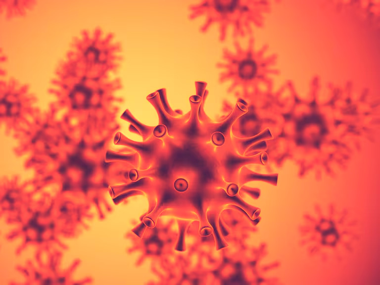 INER confirma primer caso de influenza A H3N2 en México