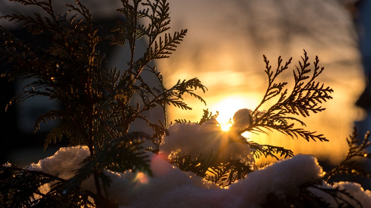 El día más corto del año está cerca y con él la llegada del invierno 