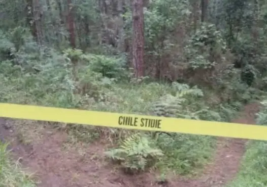 FGE de Puebla investiga hallazgo de cuatro cuerpos en la México-Tuxpan