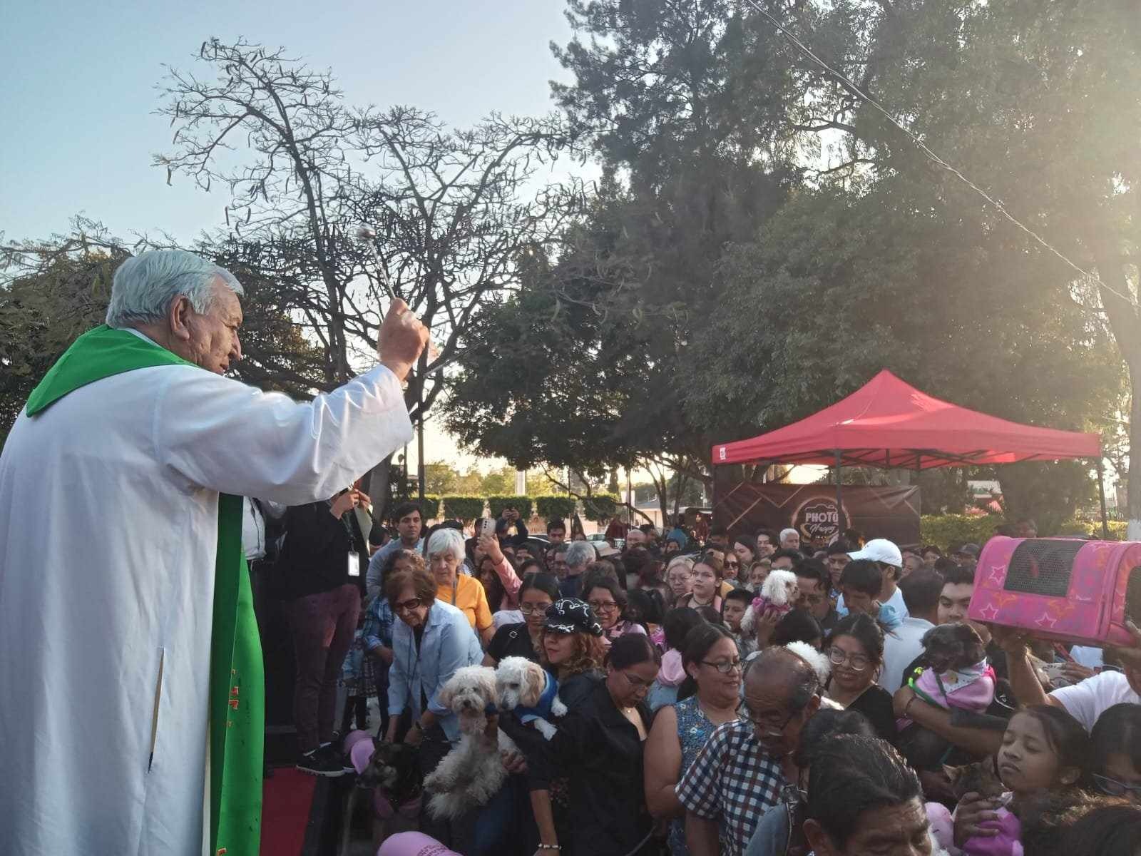 Festival de Bendición de los Animales promoverá adopción y bienestar en Tehuacán