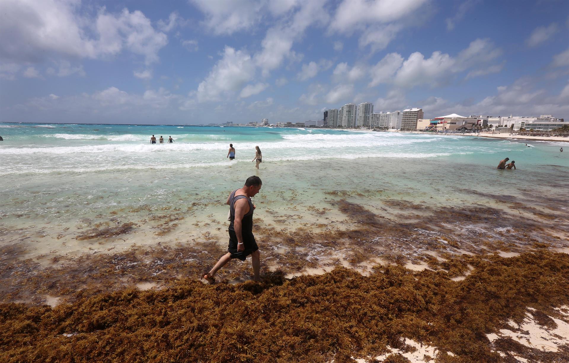 Anuncian la llegada de cantidades de sargazo históricas a playas de México 