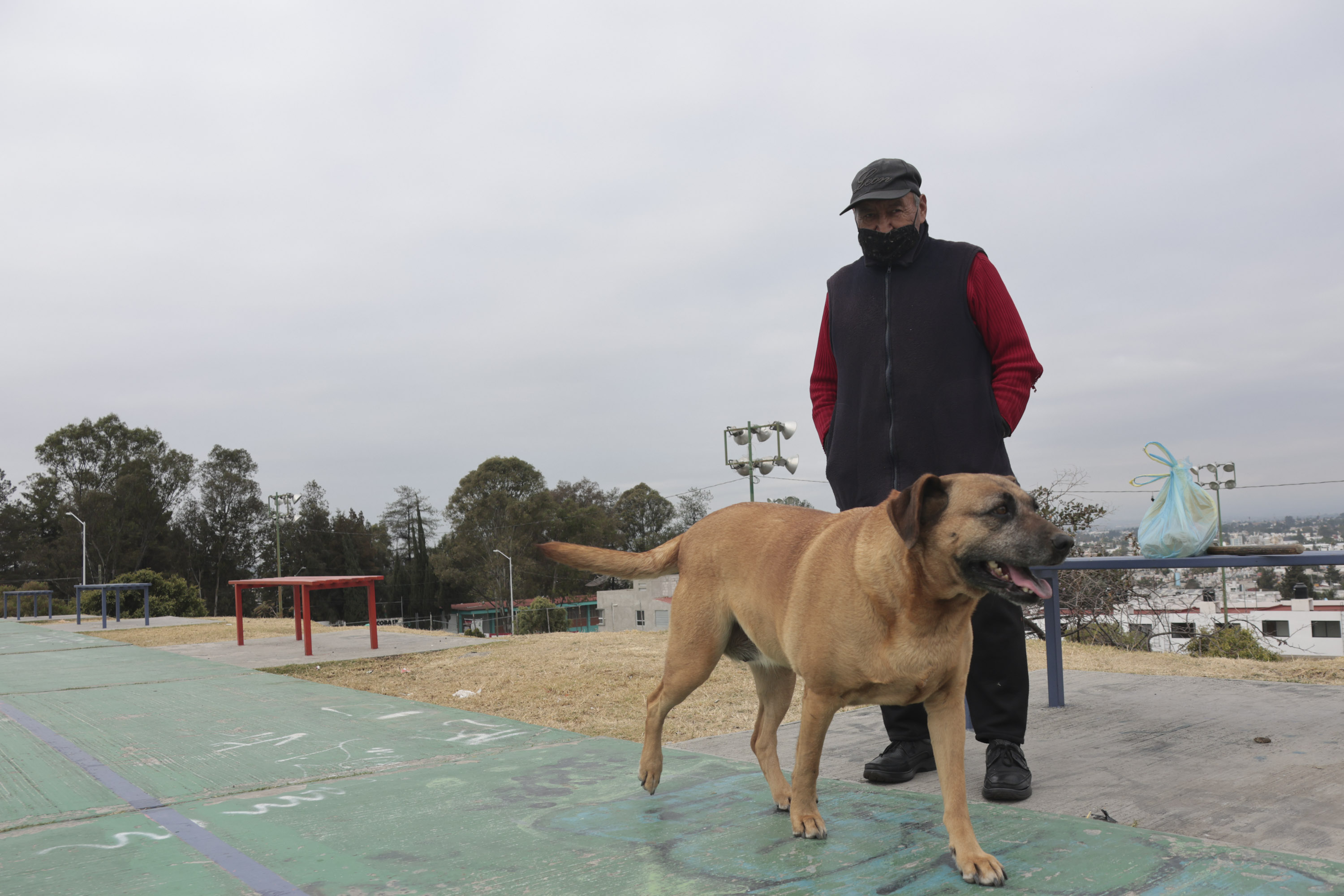 VIDEO Se registra una helada mañana de sábado en Puebla