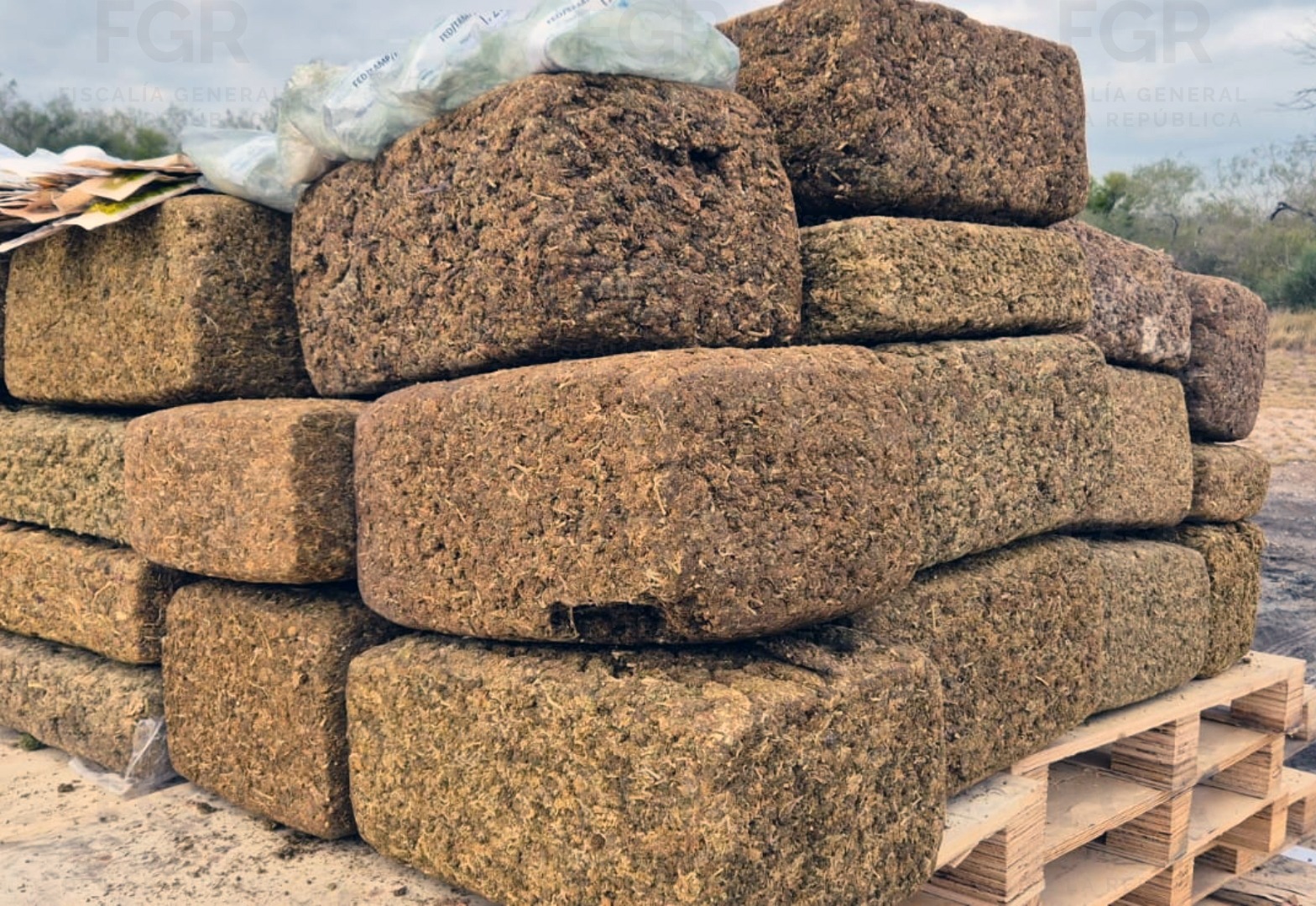 FGR incinera 300 kilos de narcóticos en Tamaulipas