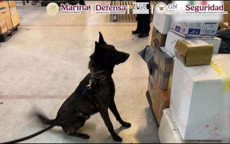 En el AICM aseguran un paquete con fentanilo enviado desde un país asiático