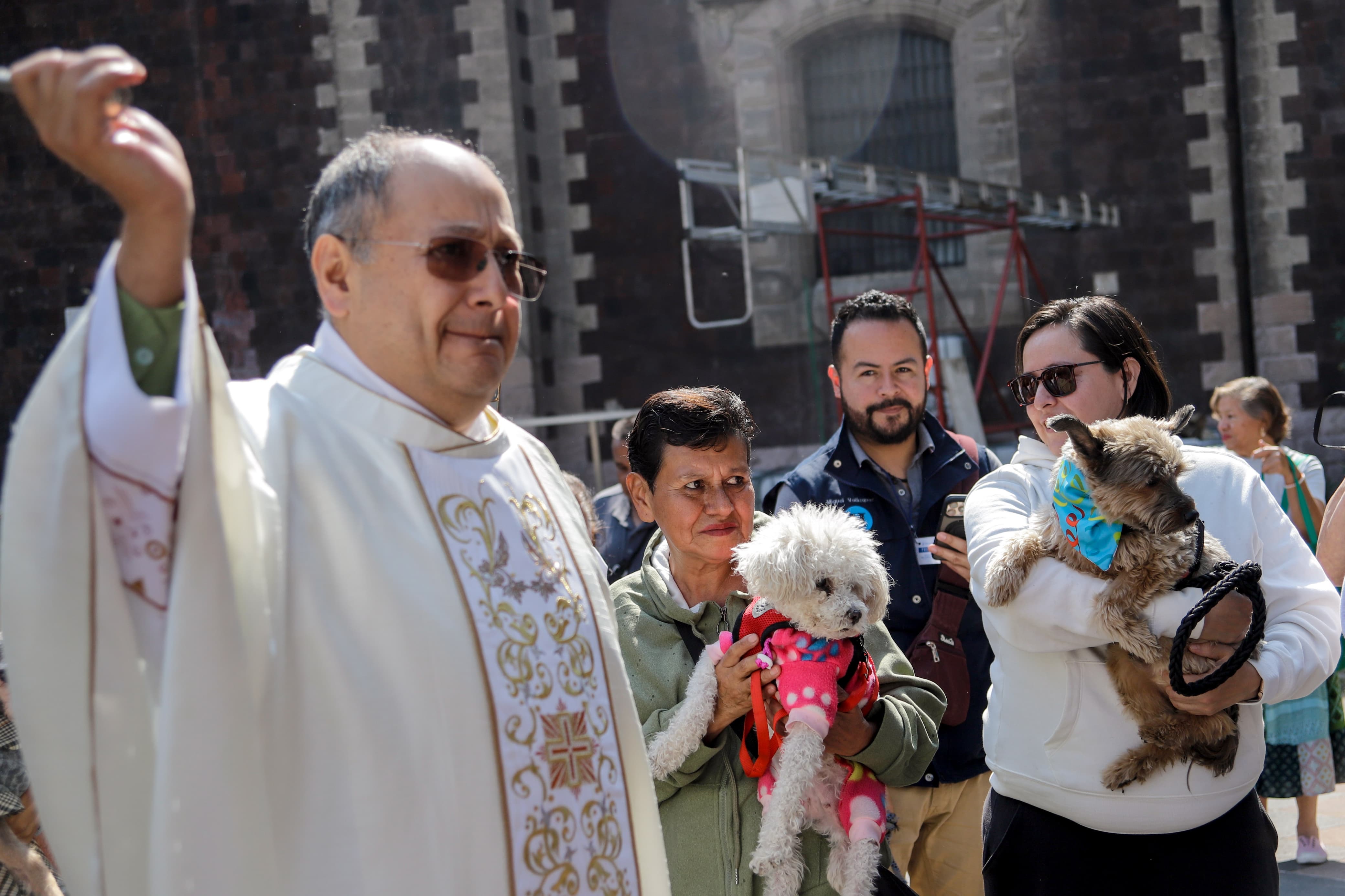 ¿En qué iglesias habrá bendición de mascotas este 17 de enero?