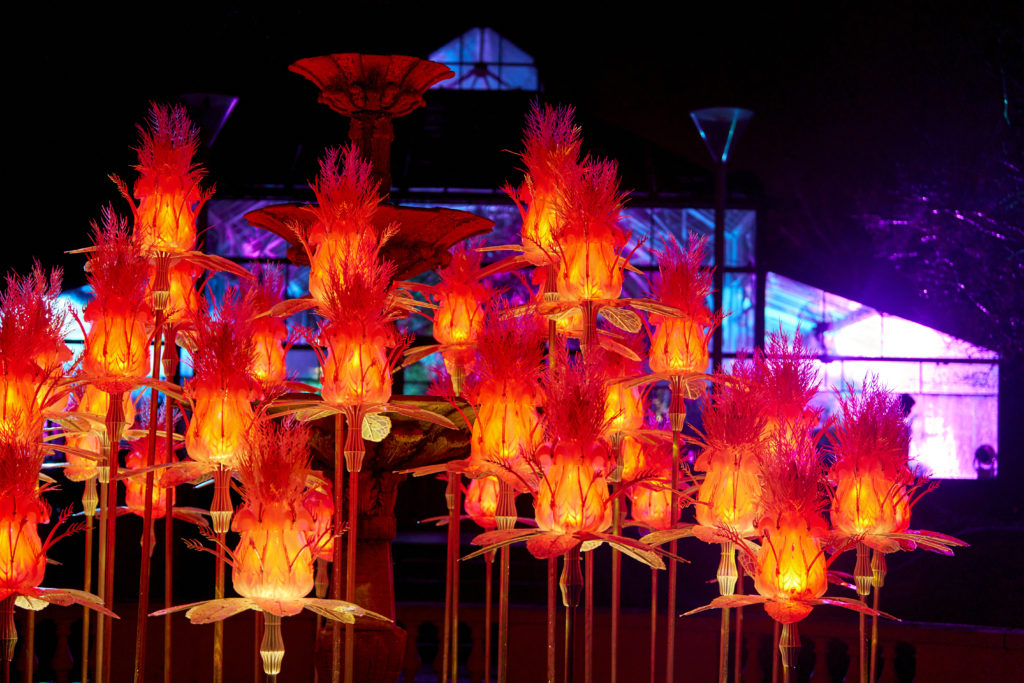 Puebla se llenará de luz y color con la llegada del Glow Fest 2026 