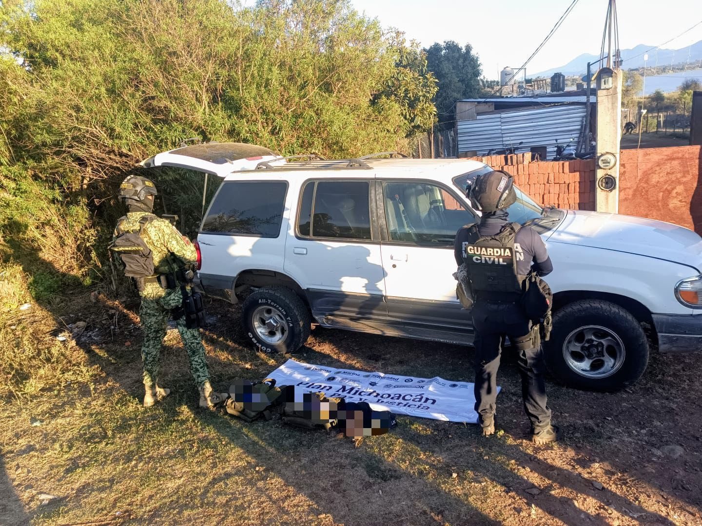 Gabinete de Seguridad ha detenido a 10,738 personas