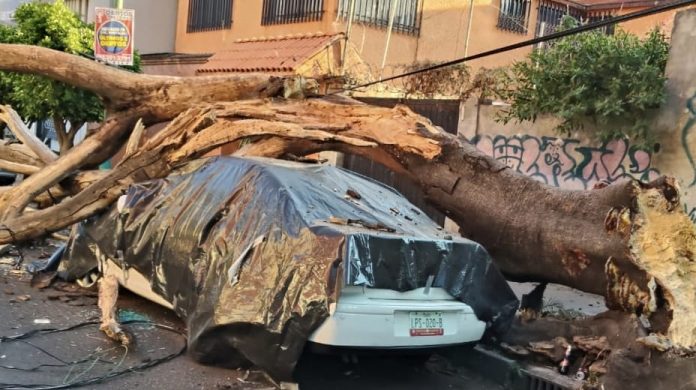 Asciende a dos el número de muertos en Guerrero tras sismo