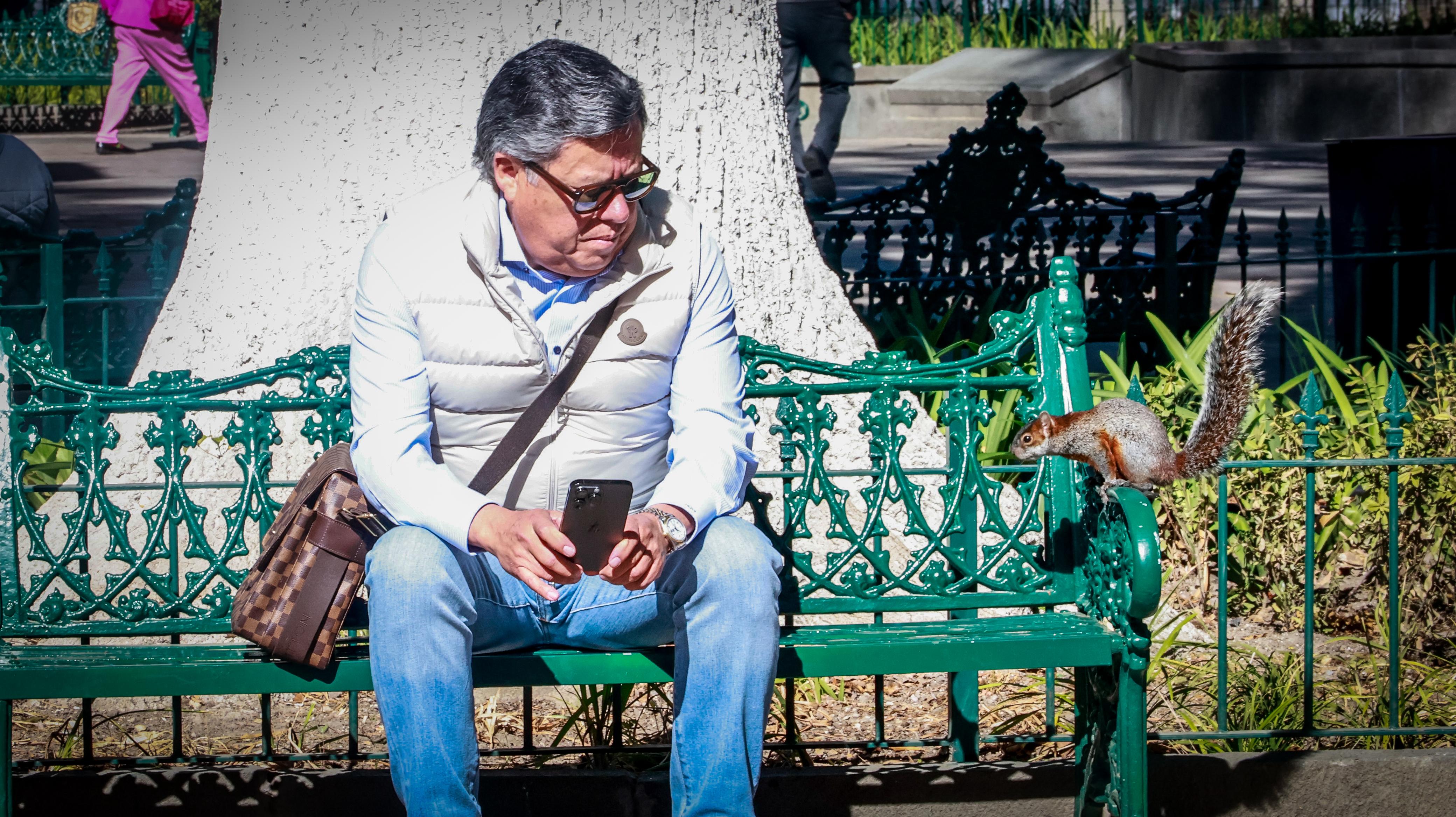 Ardillas sorprende a tlaxcaltecas en el zócalo de la ciudad