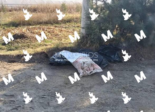 Hallan dos descuartizados con narcomanta en límites de San Lucas El Grande y Tlahuapan
