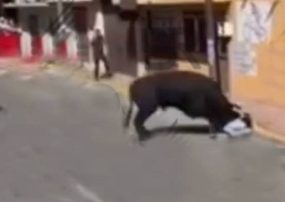 Hombre resulta gravemente herido por asta de toro en encierro en Tlaxcala