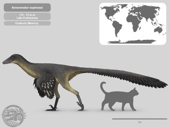 Identifican en Coahuila una nueva especie de dinosaurio carnívoro