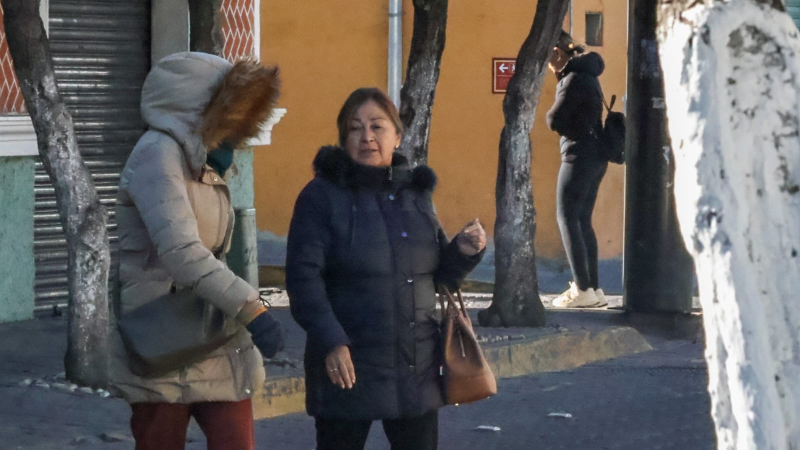 Gobierno insta a la población a reforzar medidas de prevención ante descenso térmico