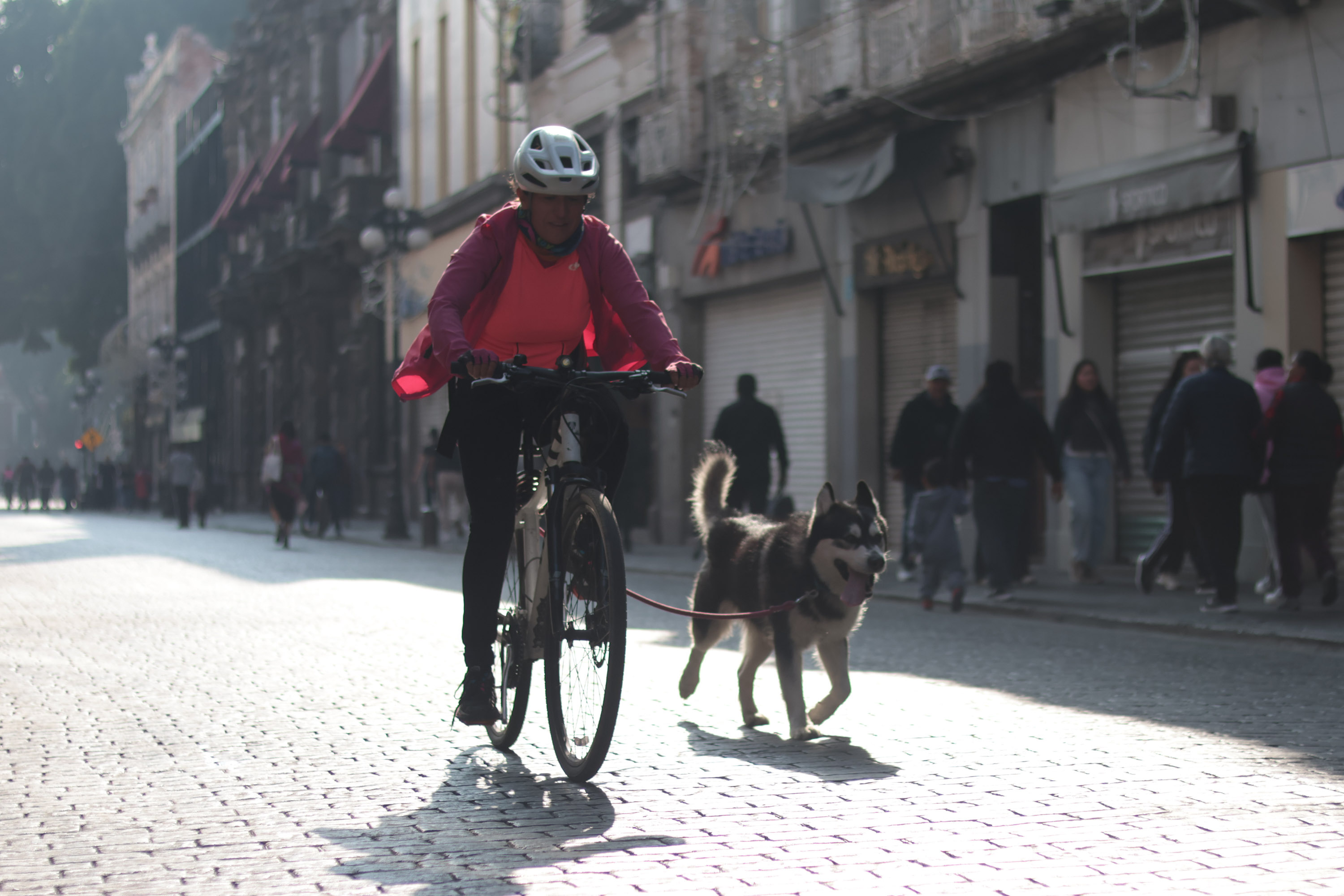 VIDEO Con gran éxito se llevó a cabo la primer Vía Recreativa de 2026