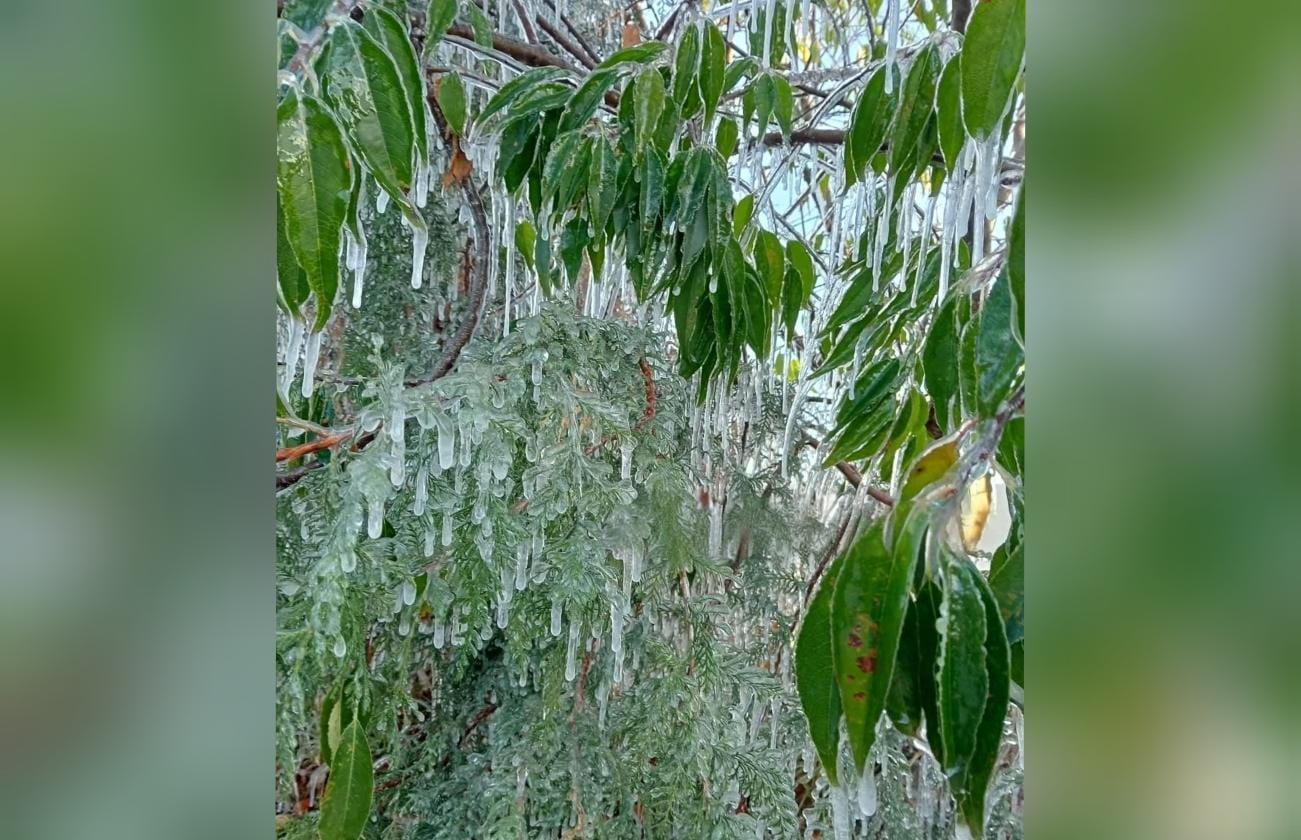 Amanecen congelados municipios del Valle Libres-Oriental y Valle de Serdán 