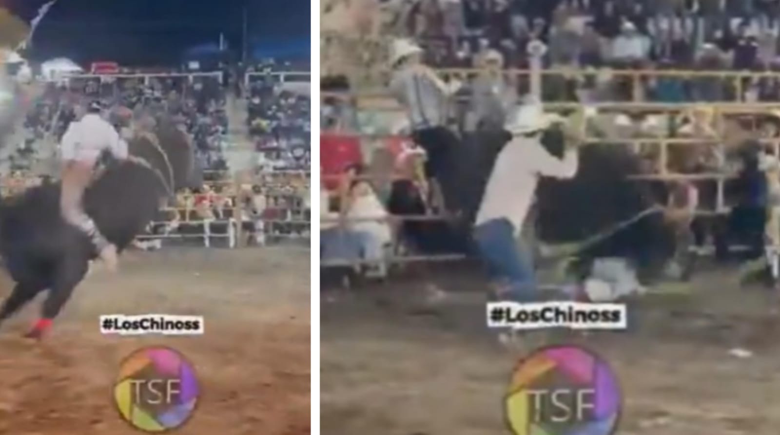 Durante jaripeo un jinete se lesiona porque estaba amarrado al animal y no se pudo soltar