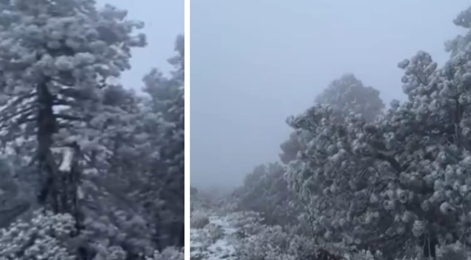 Nevada sorprende a Nuevo León y Coahuila, se espera más frío esta semana