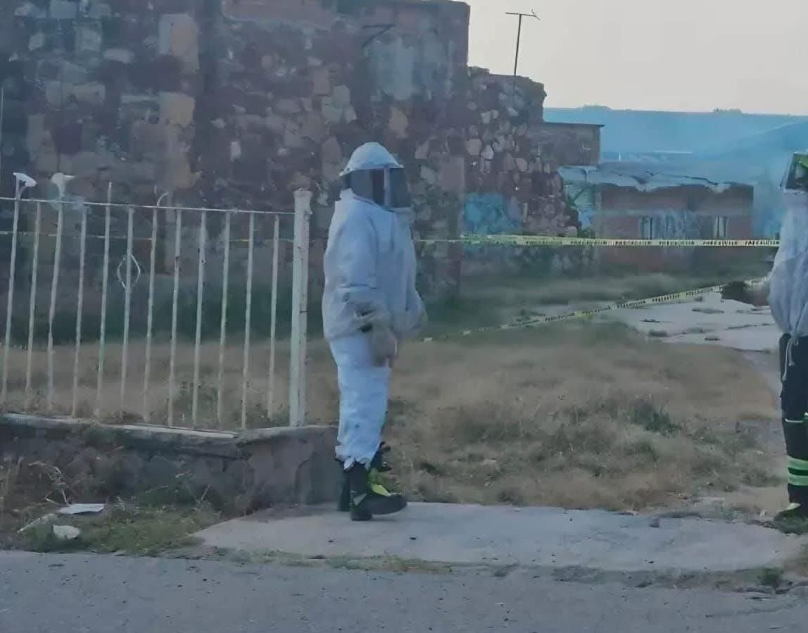 Muere hombre por picaduras de abejas en Ciudad Serdán 