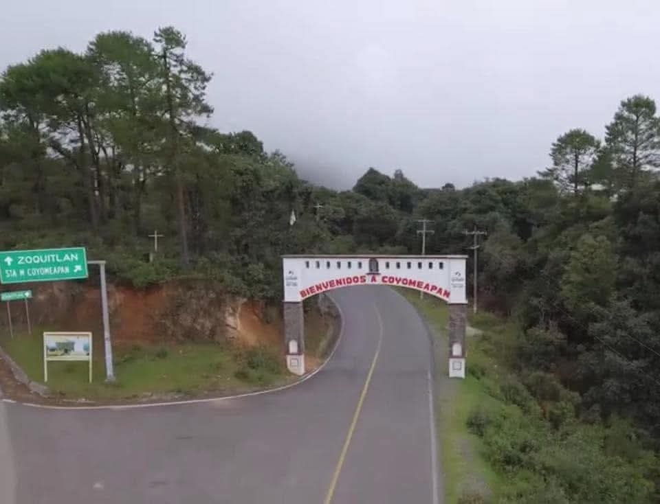 Denuncian desaparición de dos habitantes de Coyomeapan tras críticas a tala ilegal