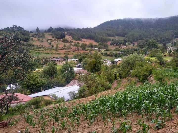 Niño de 3 años cayó en agua hirviendo en Ajalpan