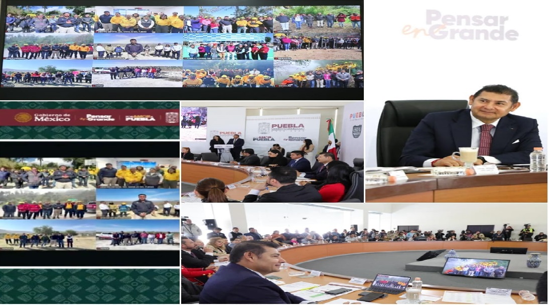 Histórica reducción de 68% en afectación forestal por prevención y tecnología: Armenta