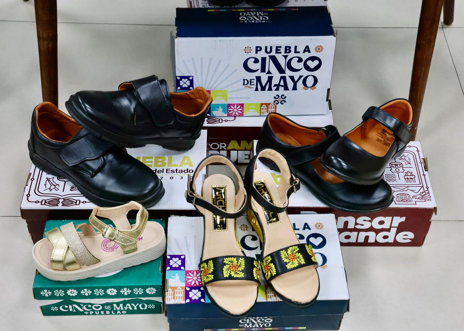 Impulsa gobierno estatal proyecto para procesar piel y fortalecer industria del calzado