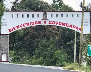 Activistas denunciarán su detención arbitraria por oponerse a la tala clandestina
