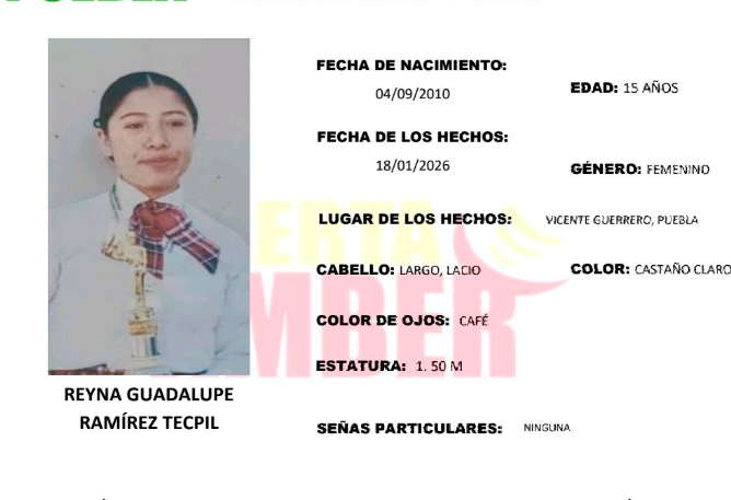 Guadalupe de 15 años desapareció en el municipio de Vicente Guerrero