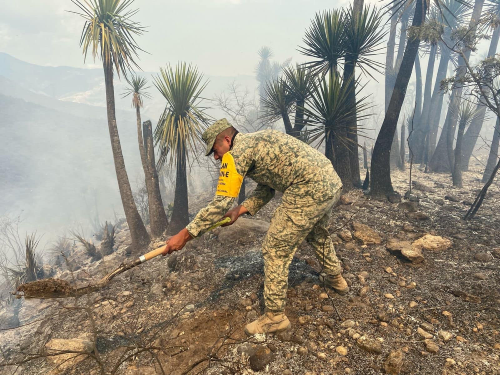 Xayacatlán contabiliza ya siete incendios forestales 
