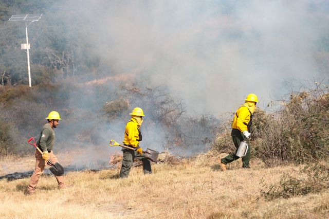 Puebla reduce afectación por incendios forestales en 2025: Medio Ambiente