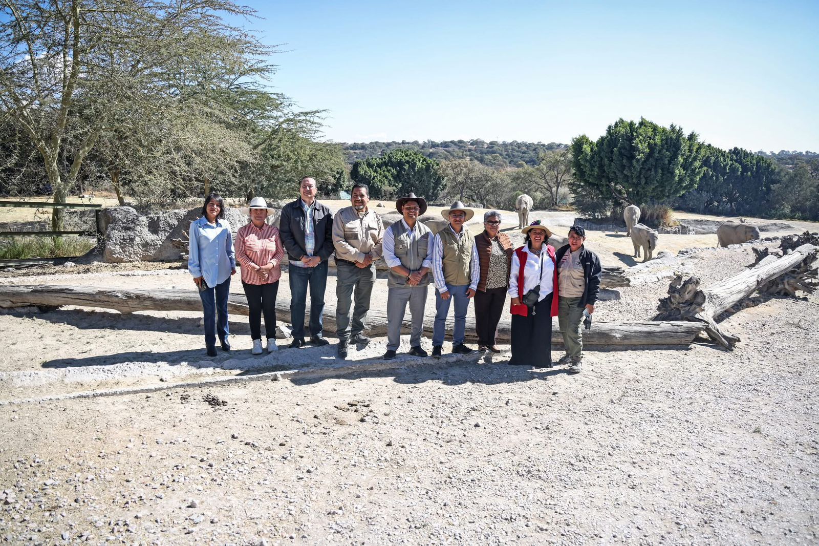 En Cuautlancingo, Sosapac y Africam Safari inician campaña de reciclaje de árboles navideños