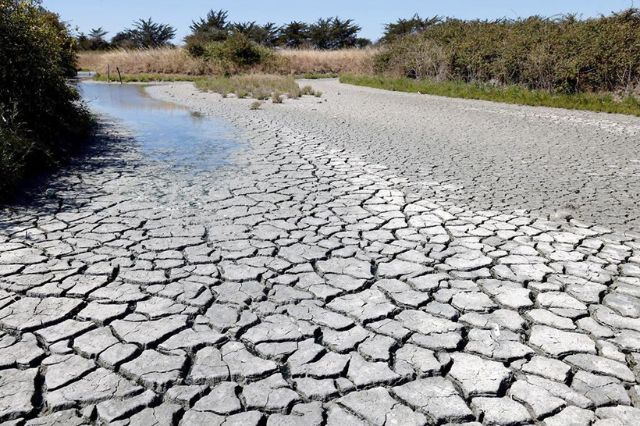79.9% del territorio mexicano libre de sequía al cierre de 2025, reporta Conagua