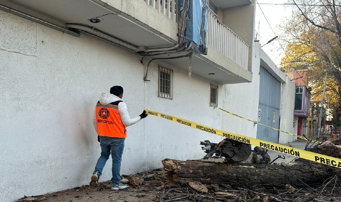 Atendió Texmelucan reporte por caída de rama de árbol en carril de San Miguel