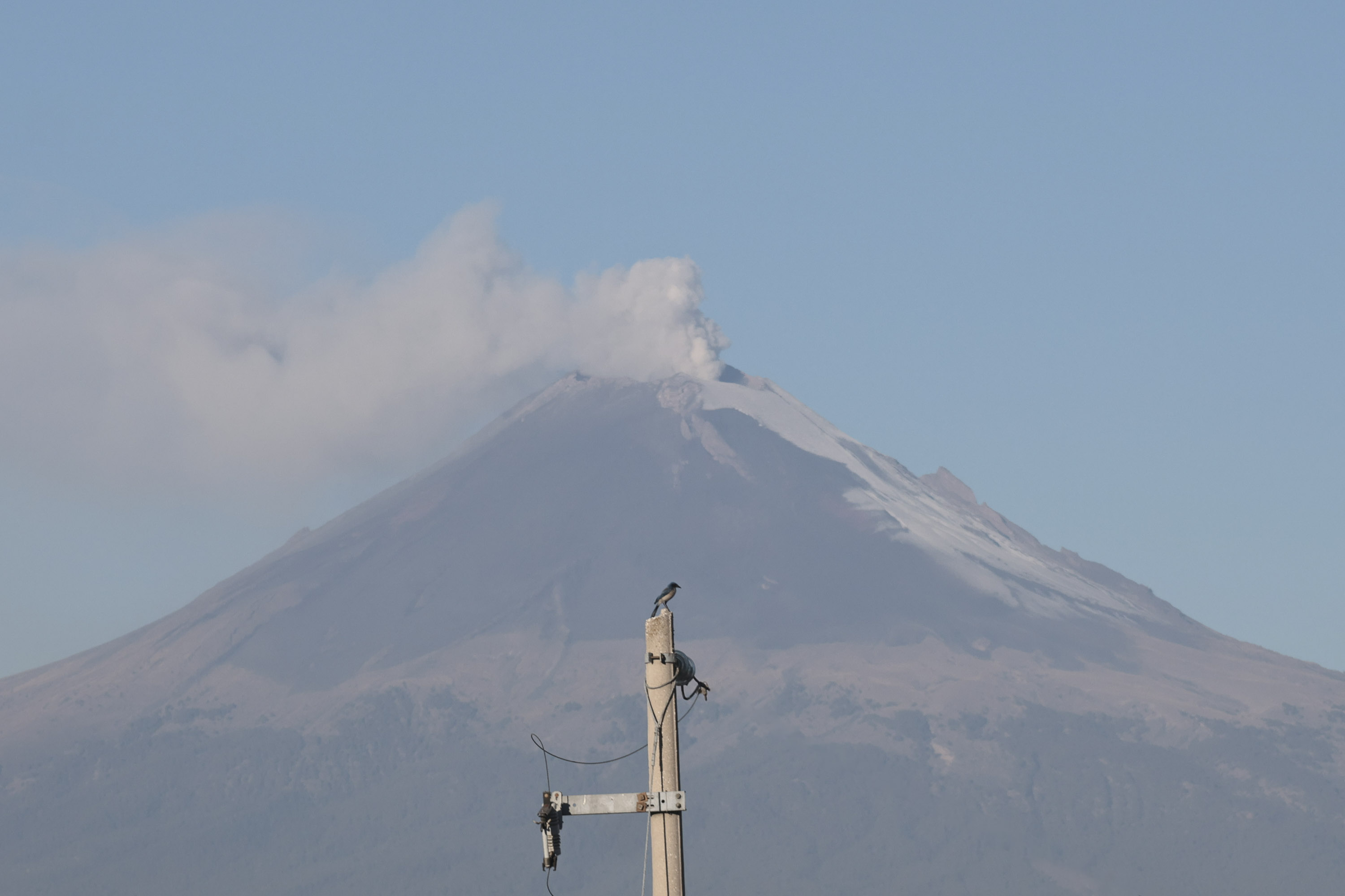 VIDEO Volcán Popocatépetl despide febrero con una fumarola, visible desde Puebla