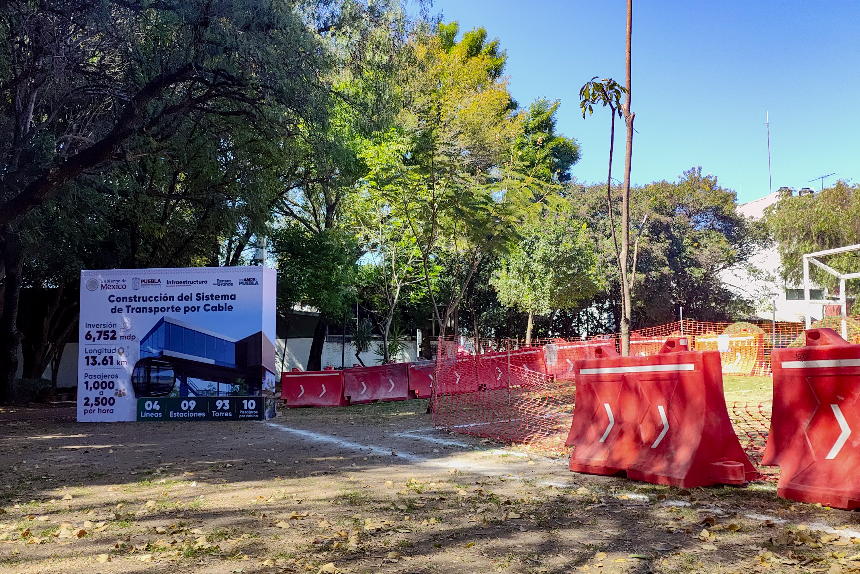 Árboles en Puebla no serán talados, serán removidos: García Parra