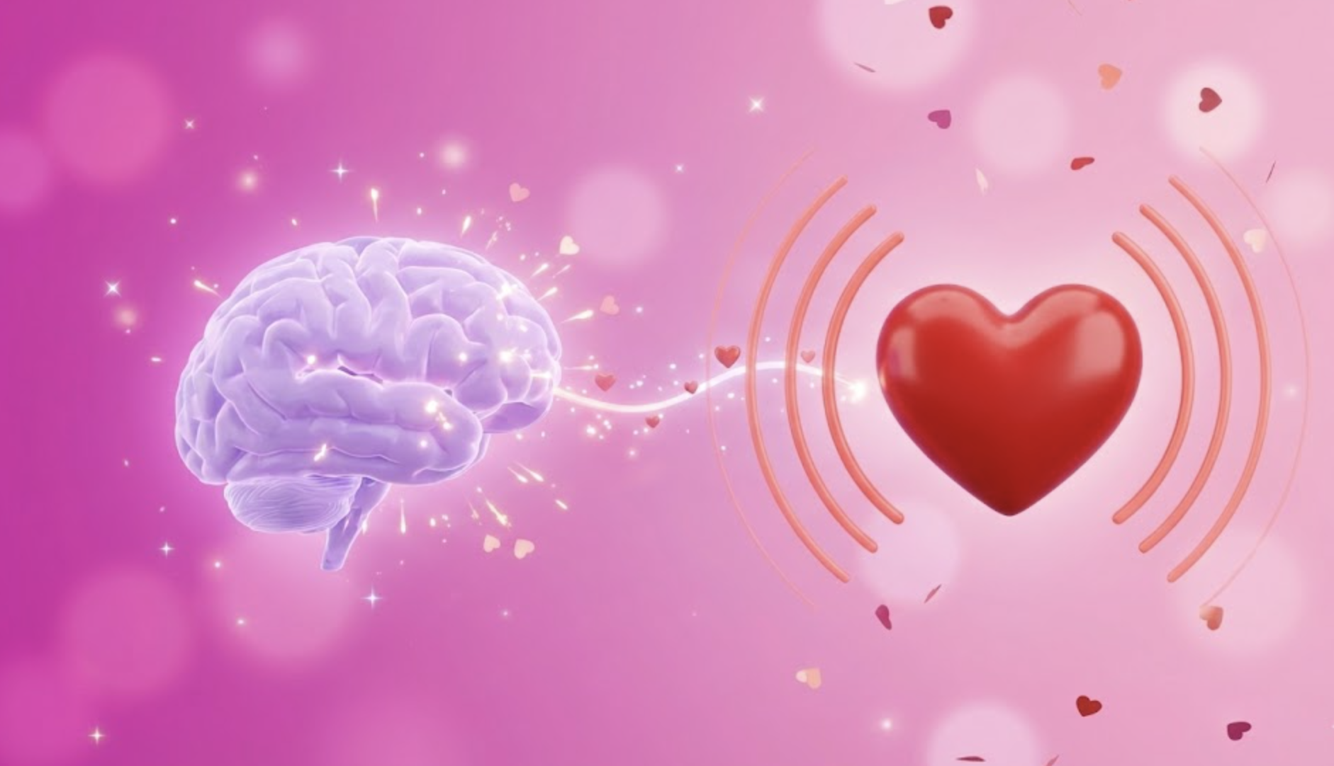 14 de febrero : la ciencia explica si el amor nace en el cerebro o se siente en el corazón