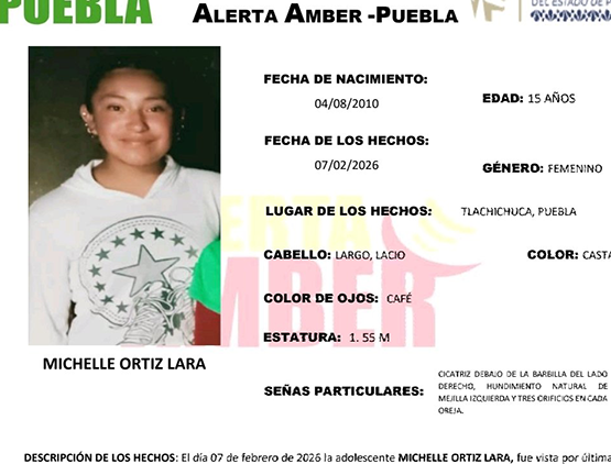Michelle de 15 años desapareció en el municipio de Tlachichuca