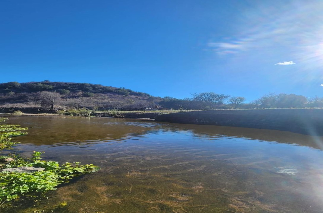 Semarnat realiza pruebas de contaminación en el río Sonora