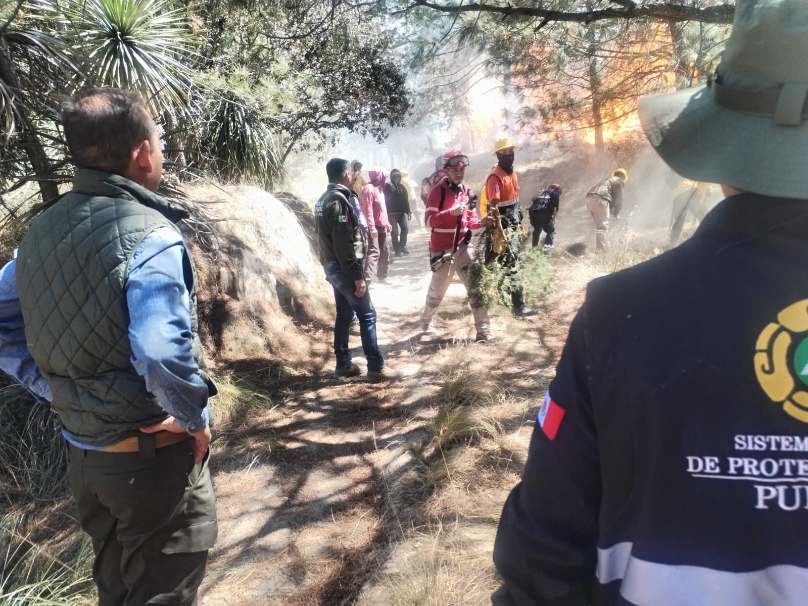 Controlan en un 100% incendio forestal en el municipio de Oriental