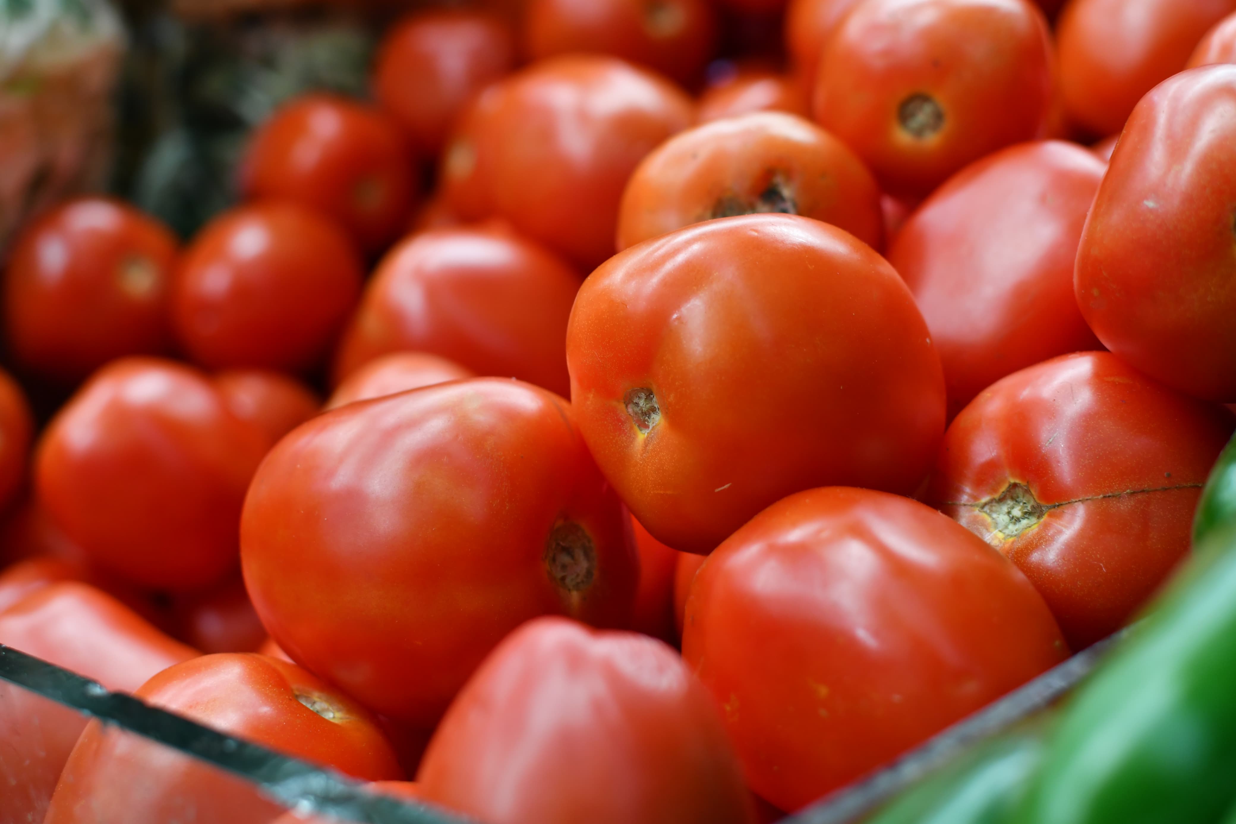 Se dispara el precio del jitomate en México, el más alto en los últimos 15 años 