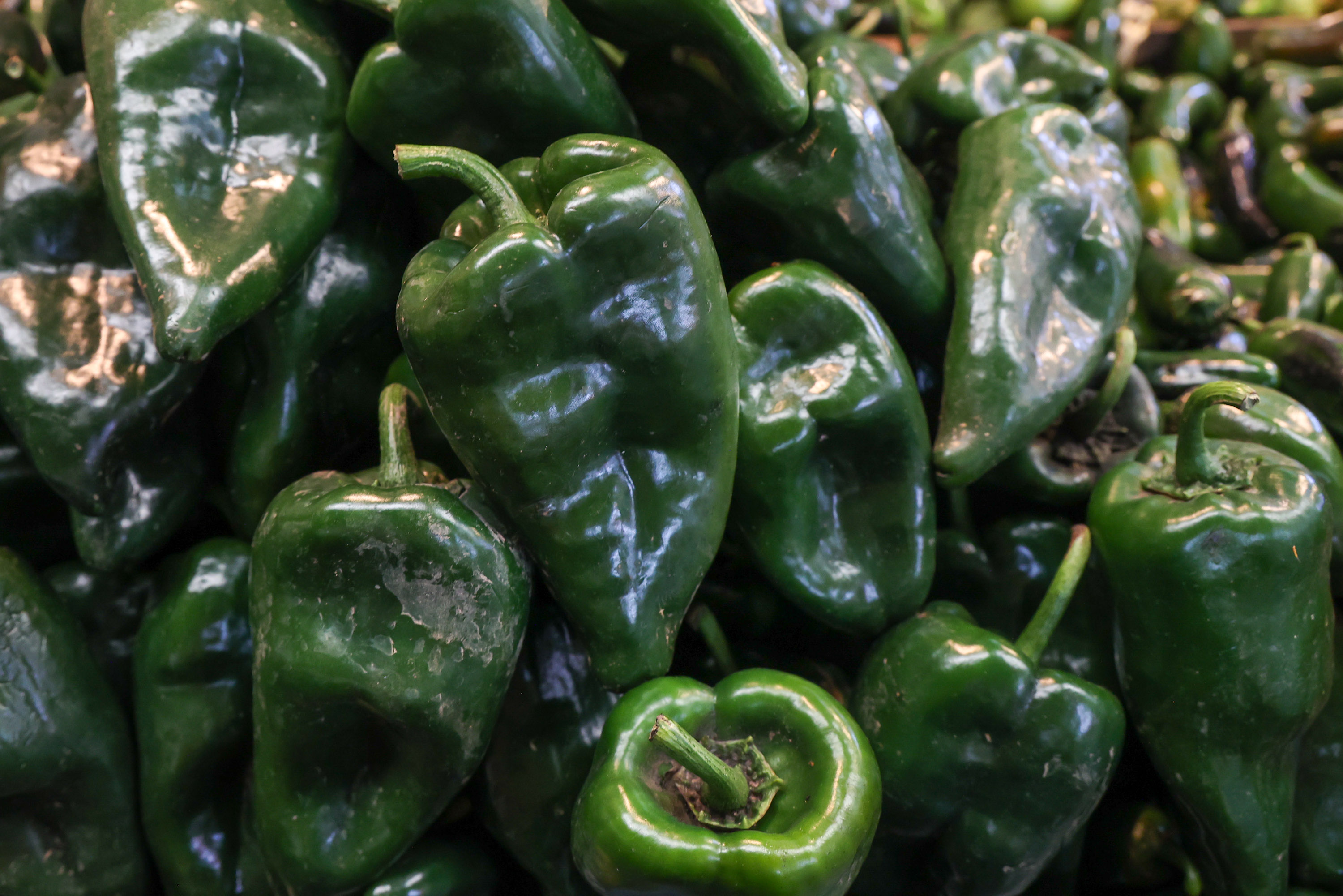 Estos son los alimentos que exporta México a Estados Unidos 