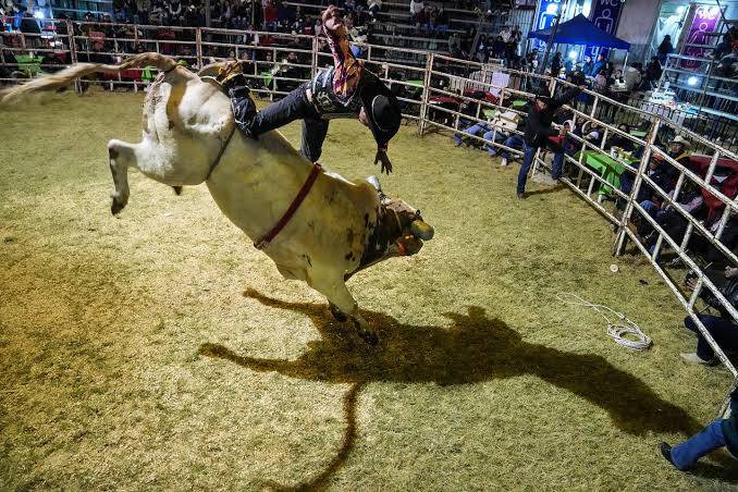 Instituto de Bienestar Animal cancela festejos con animales en Ocotepec