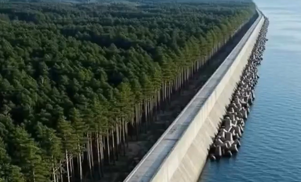 Japón fortalece protección costera tras Tsumami en Tohoku