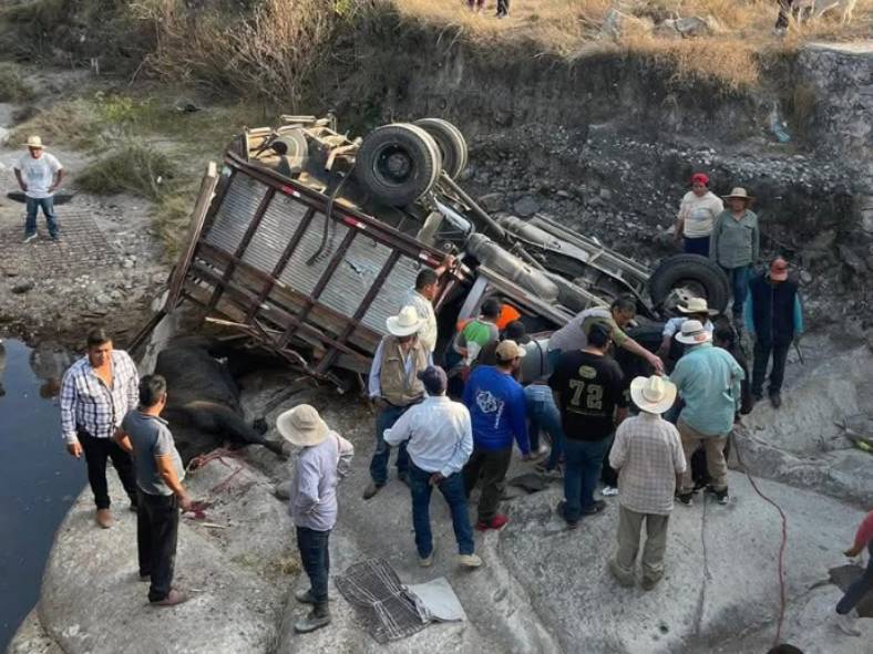 Camión se va a barranca en Tecali; hay dos heridos 